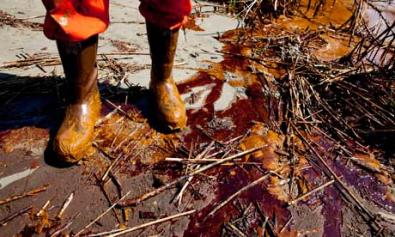 Atlantic coast now under threat as current spreads Gulf oil slick  Scale of disaster apparent as no-fishing zone doubles and controversial dispersant is used
