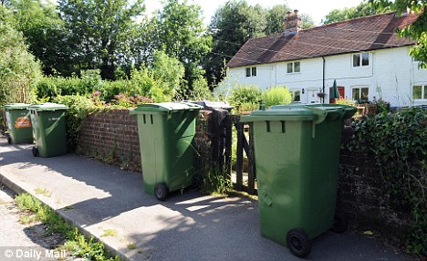 wheelie bins