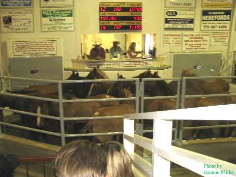 livestock_exchange_inside