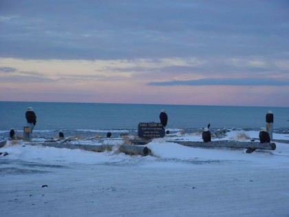 insert picture image