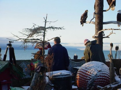 insert picture image