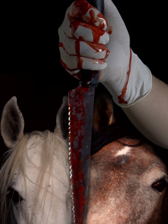 Horse Slaughter Poster by Vivian J Grant