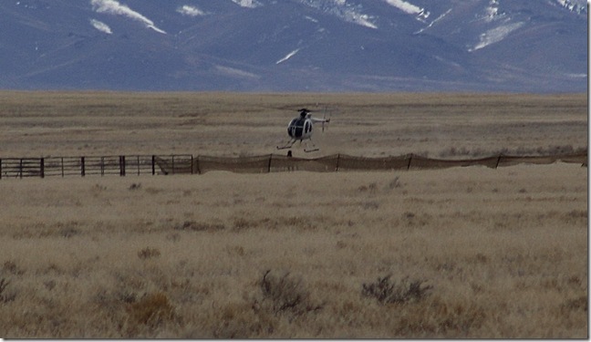 Antelope2-14 251 (2) Antelope2-14 251 (2)