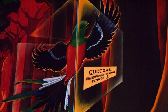 Murals at Denver Airport