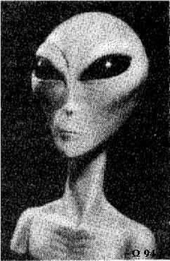 Grey Alien