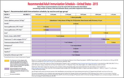 CDC Adult Vaccination Schedule 2015