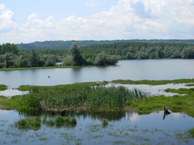 As the Danube naturally flows through Serbia. Credit: Vesna Zimonjic/IPS. As the Danube naturally flows through Serbia. Credit: Vesna Zimonjic/IPS.