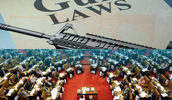 NY State Senator Gun Bill Passed In Middle Of Night ‘Turns Law-abiding Citizens Into Criminals’