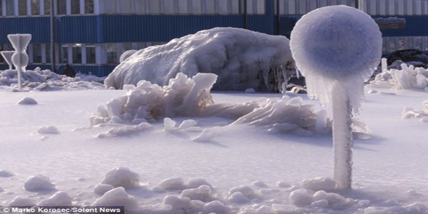 Slovenia Buried Under Ice - Forests Destroyed