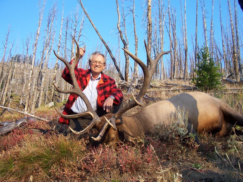 Dr. Valerius Geist has several decades of experience studying wildlife and has developed a seven-stage habituation pattern for wolves when wild food runs out.