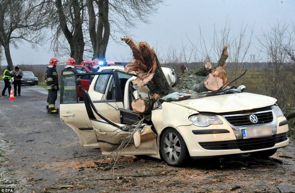 POLAND: Firefighters stand at the site of a traffic accident between the villages of Wicko and Poraj in the Pomerania region today