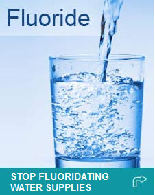 Fluoride Action Network