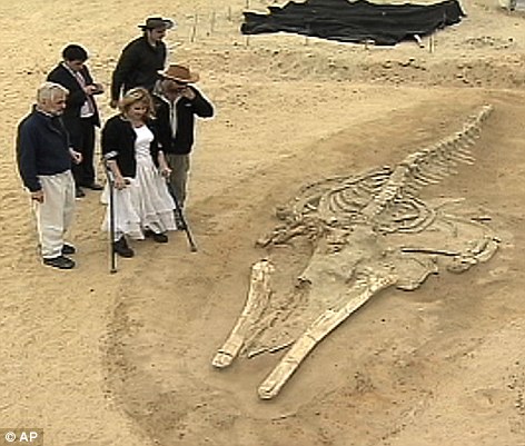 Findings: A video still shows Minister of National Assets Catalina Parot, using crutches, looking at one of the prehistoric whale fossils in the desert