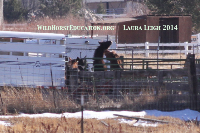 Loading adults and babies at the same time