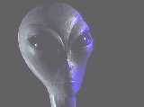 Grey Alien