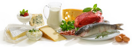 High Protein Foods