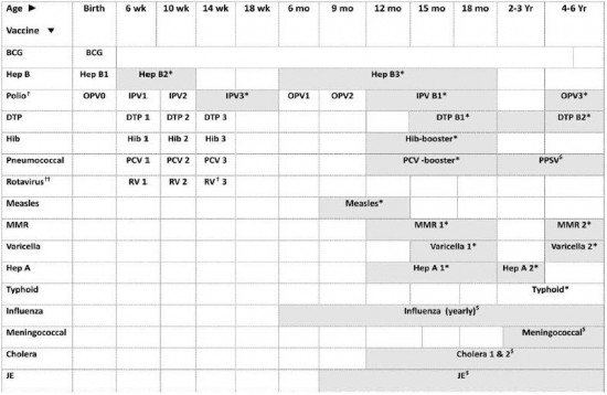 The vaccination schedule according to the Indian Academy of Pediatrics.