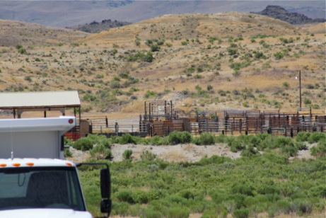 Empty pens at the Dufirina station waiting for horses, pic Laura Leigh