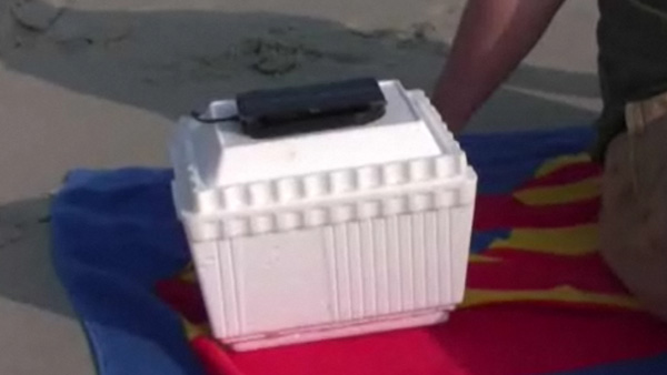 Solar powered cooler