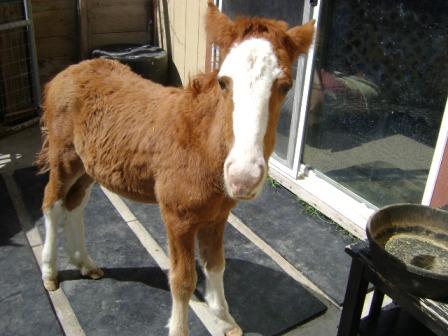 Valentina - loving and precious