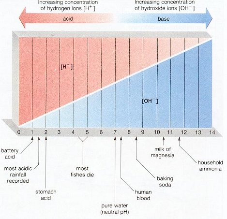 http://www.mcvitamins.com/images/pH-Acid.jpg